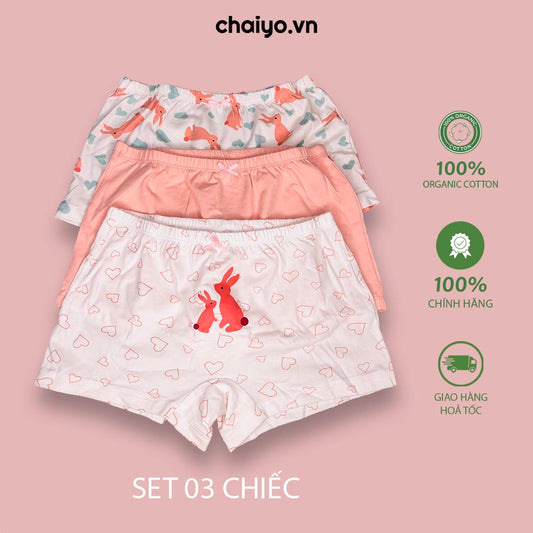 Quần lót cho bé gái dạng đùi họa tiết Thỏ Combo 3-Aircool-chaiyo.vn