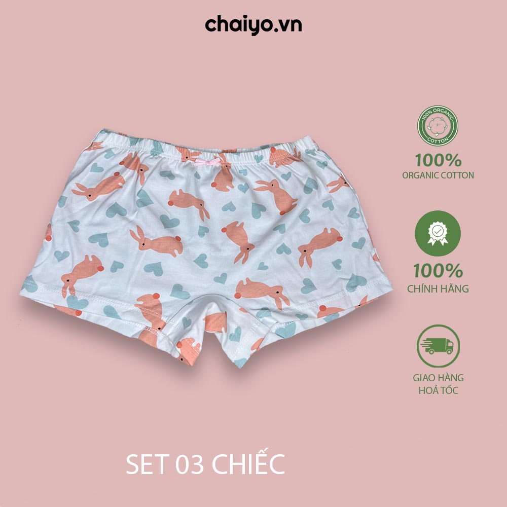 Quần lót cho bé gái dáng đùi chất liệu cotton cao cấp QLBGH01