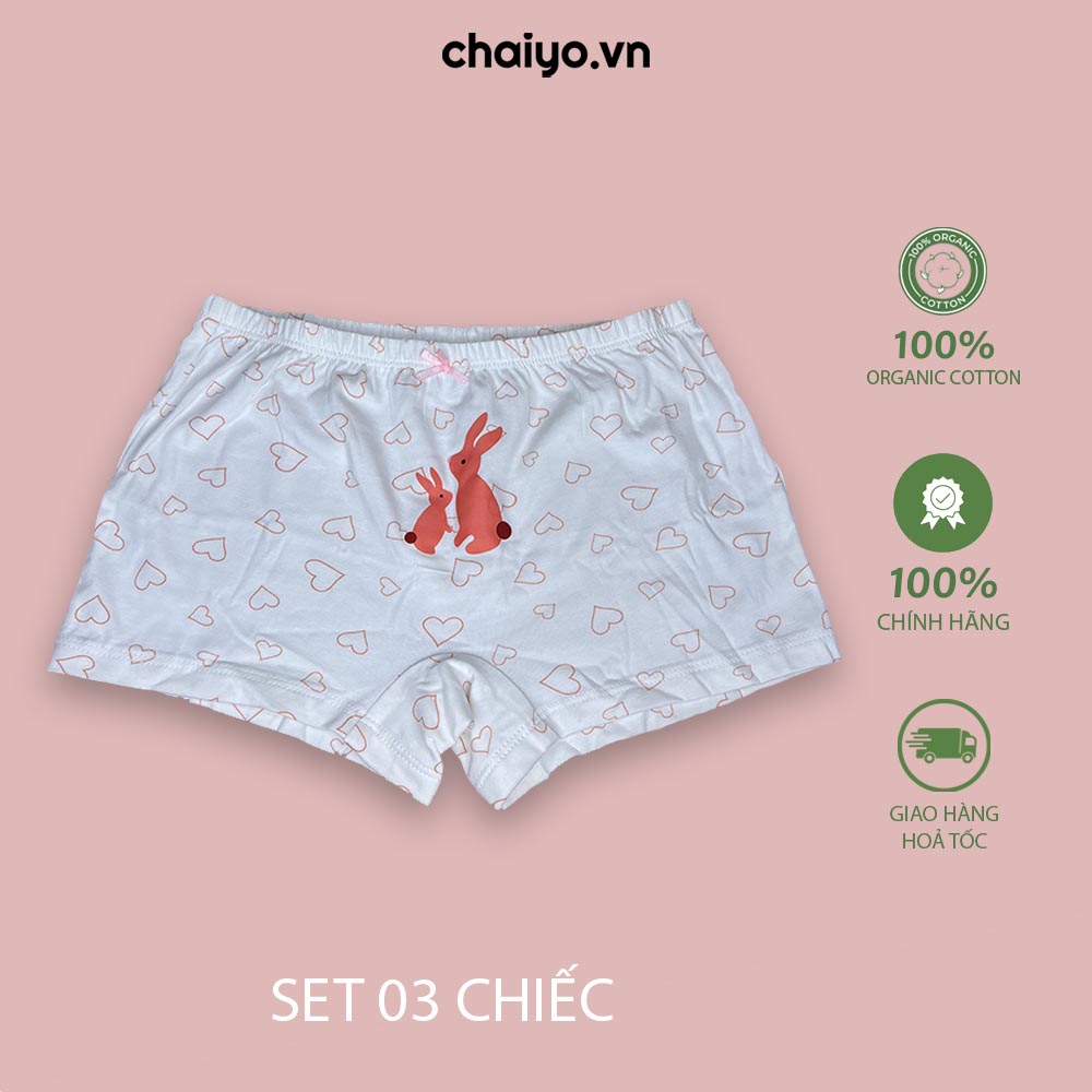 Quần lót cho bé gái dáng đùi chất liệu cotton cao cấp QLBGH01