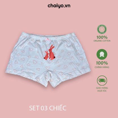 Quần lót cho bé gái dáng đùi chất liệu cotton cao cấp QLBGH01