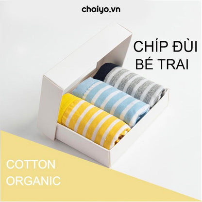 Quần lót boxer thể thao cho bé trai cotton cao cấp co giãn 4 chiều combo 3 cái