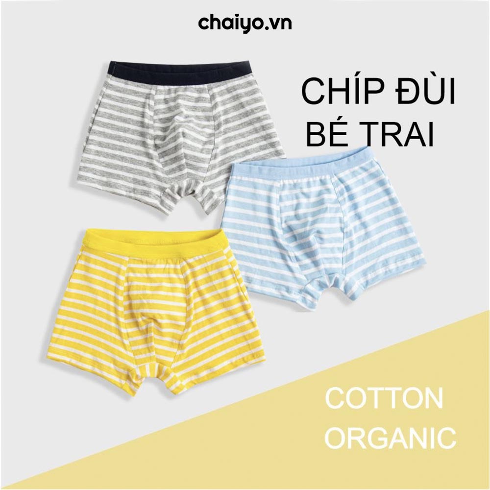 Quần lót boxer thể thao cho bé trai cotton cao cấp co giãn 4 chiều combo 3 cái